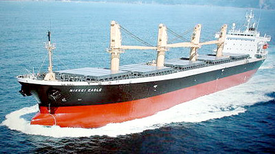NIKKEI EAGLE